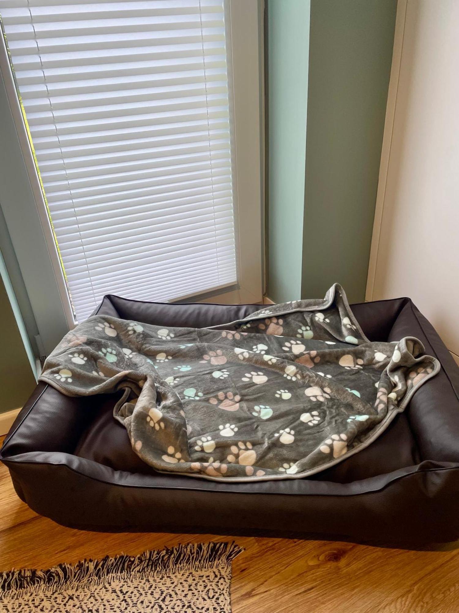 Oase Am L 2 Sz L Familien Und Hundefreundlich L Sauna I E-ladesaeule Apartment *
