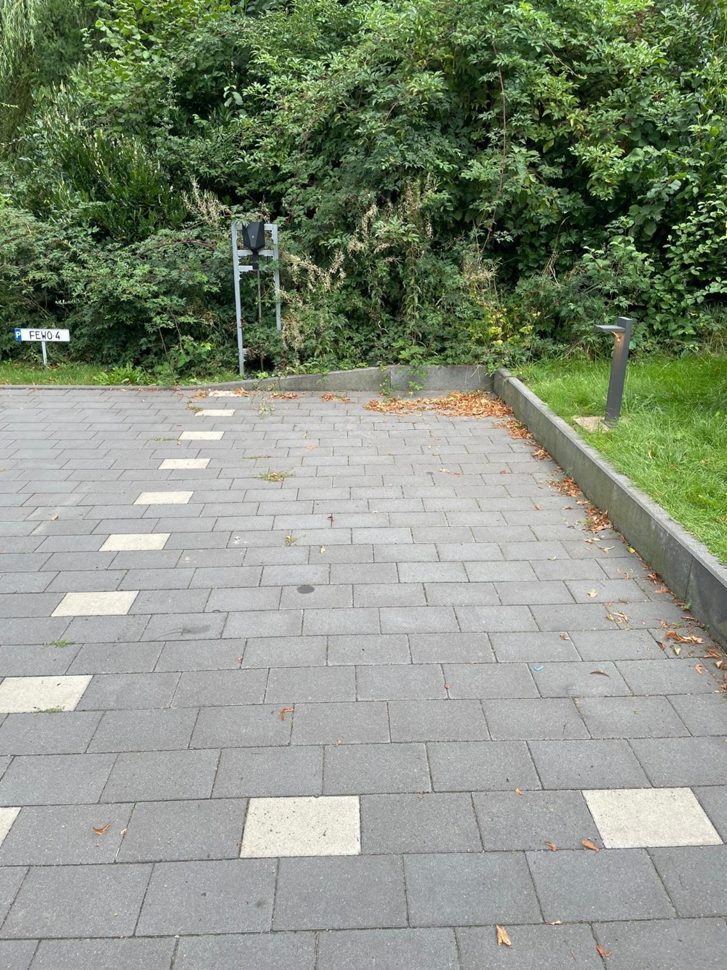 Oase Am L 2 Sz L Familien Und Hundefreundlich L Sauna I E-ladesaeule Apartment